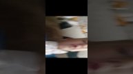 обзор на дом