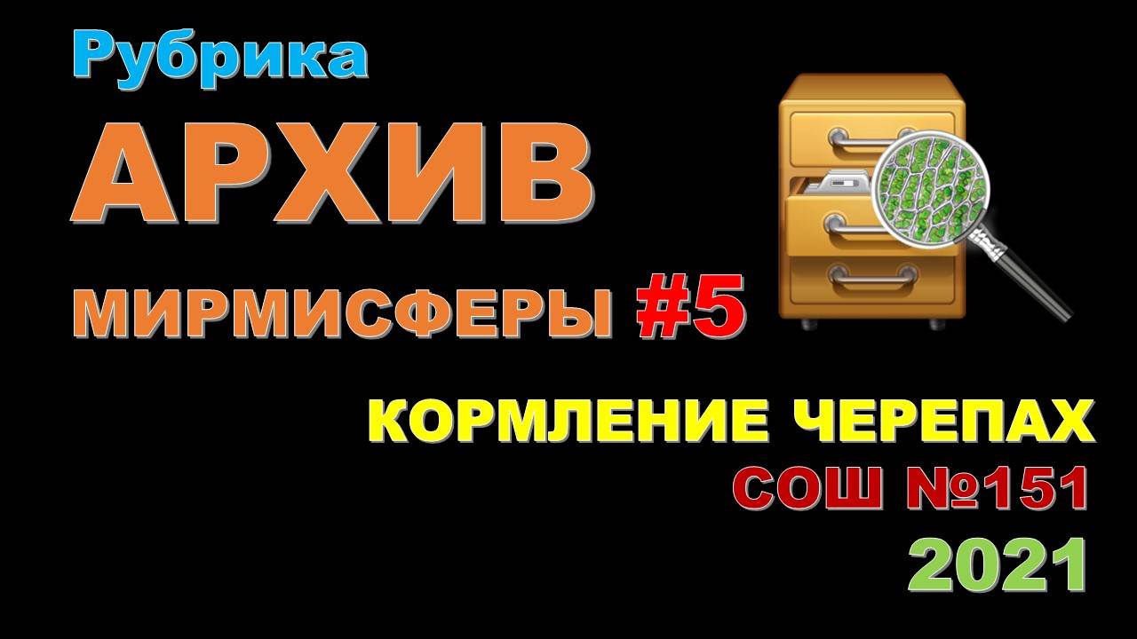 МИРМИСФЕРА. Архив 2021. Выпуск 5. Кормление черепах