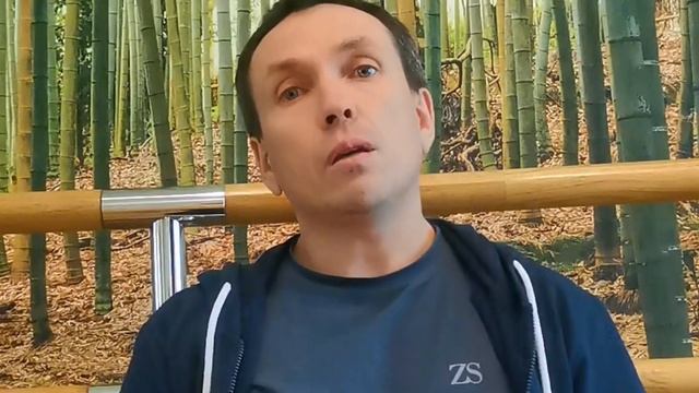 концепция школы ушу "4EVO".mp4
