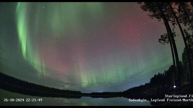 029. 2024-10-26. Northern Light Live Sodankylä, Finland 1080