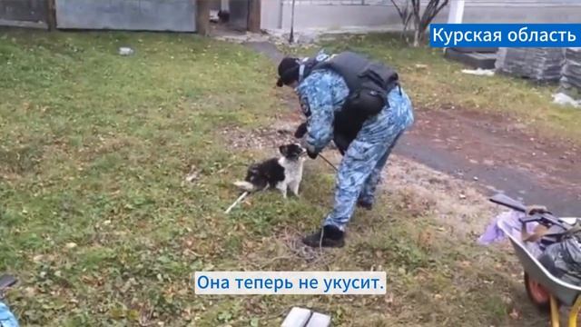 В Курской области сотрудники полиции оказывают помощь всем, кто в ней нуждается