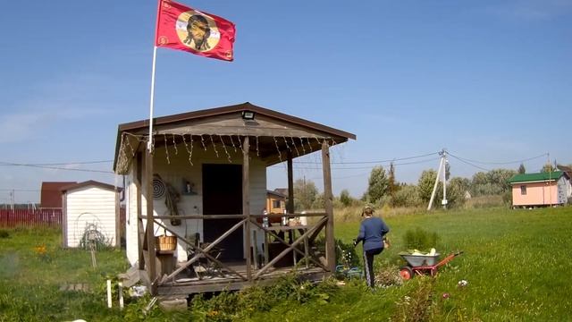 24.08.2024 День кабачка и помидор на даче.