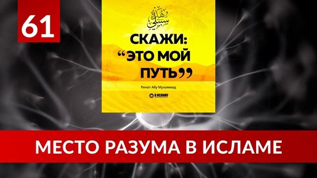 61. Место разума в Исламе _ Ринат Абу Мухаммад