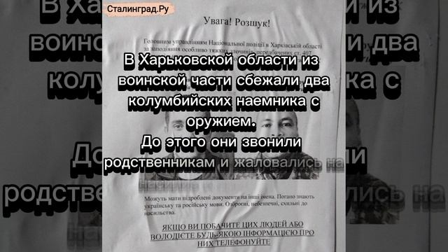 «Внимание! Розыск!» Из ВСУ дизертируют не только украинские военнослужащие