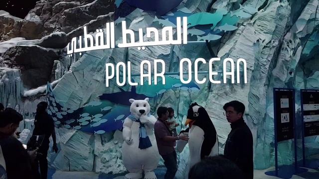 Часть 2 Seaworld Abu Dabhi, UAE, акванариум Абу-Даби, на шоу дельфинов приходите заранее, места огра