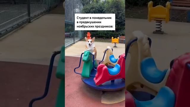 Когда уже отдохнем?