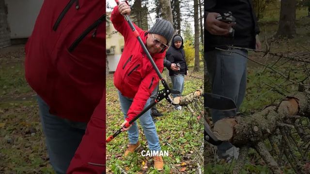 Ручной инструмент CAIMAN#дачасадогород #садоваятехника #газон #садовод #gardening#shortsvideo2024#