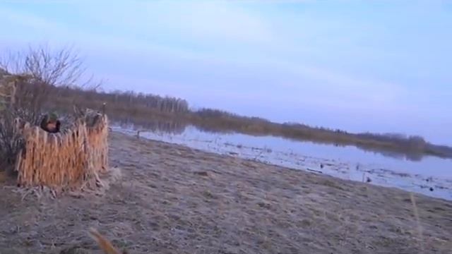 Охота в Псковской
