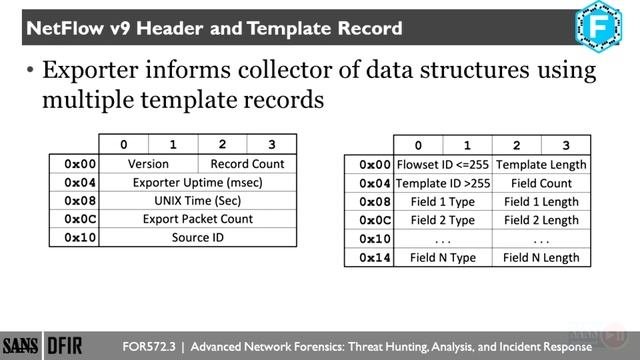 4.2 NetFlow Collection and Analysis
