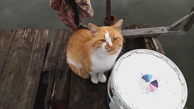 Солнце вернулся!!