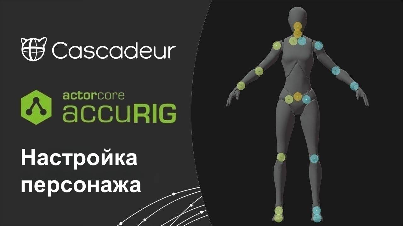 Настройка персонажа в AccuRIG и экспорт в Cascadeur