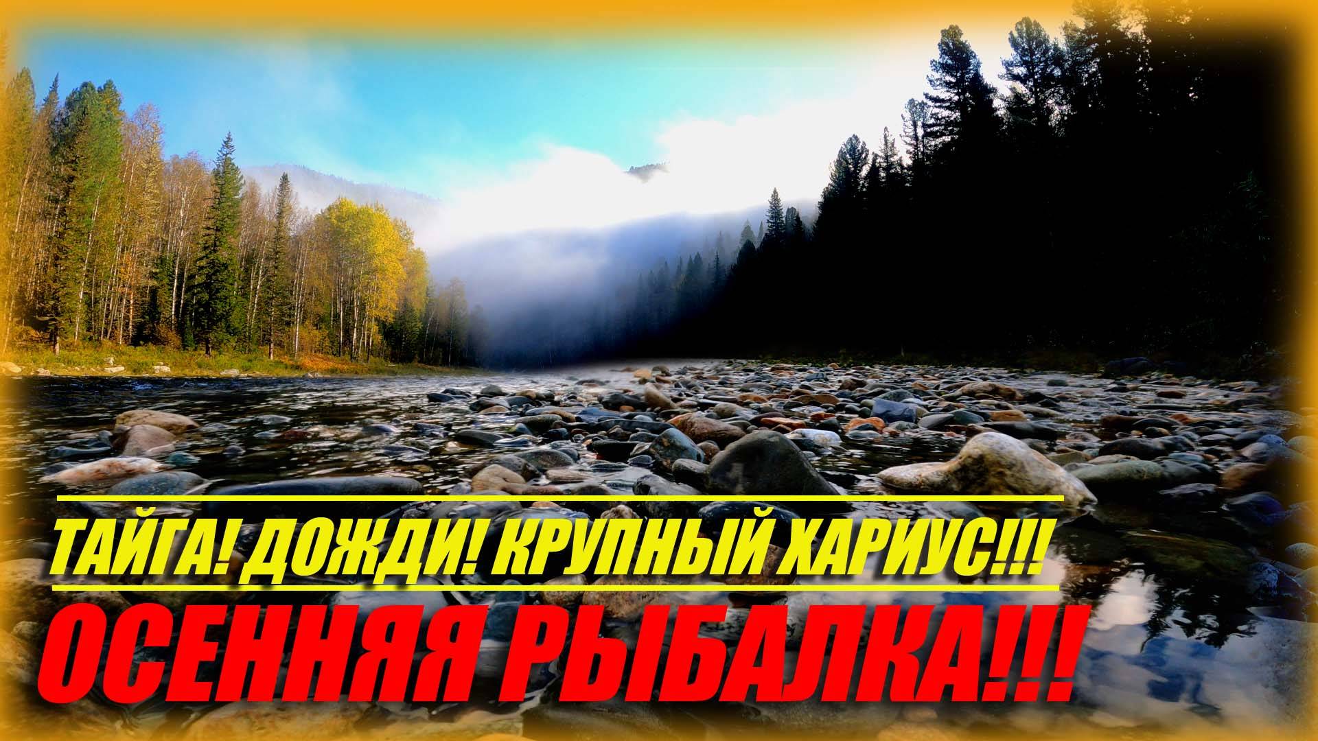 ОСЕННИЙ ОТДЫХ И РЫБАЛКА В ЛУЧШИХ ТРАДИЦИЯХ!!! ОТБОРНЫЙ ХАРИУС!!! ТАЙГА!!#Река Кия #Сибирь