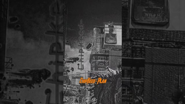 ChipKeed - plan