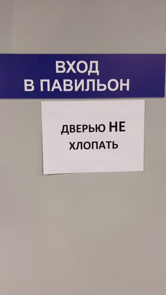 Закулисье программы "Хорошие песни" - страшные вещи: все поют и плящут 😄#добронравов #варвара