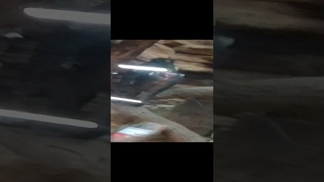 1000019415.mp4