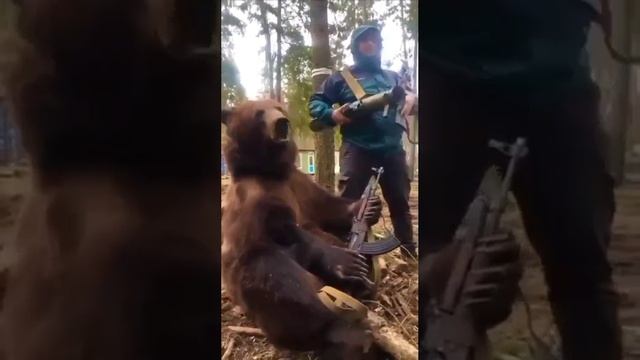 медведь спецназ