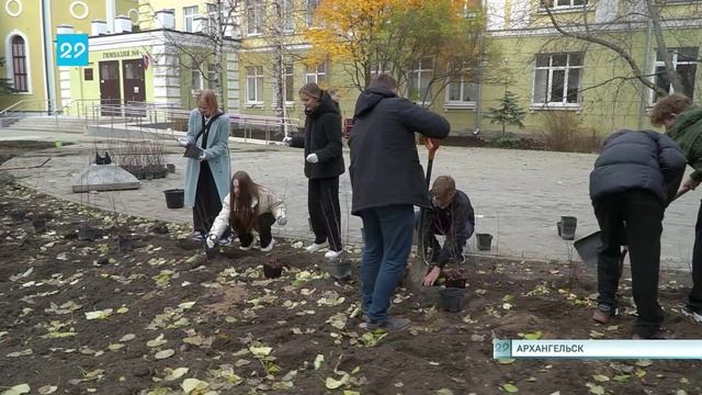 25.10.2024 У 6 гимназии высадили зеленую аллею