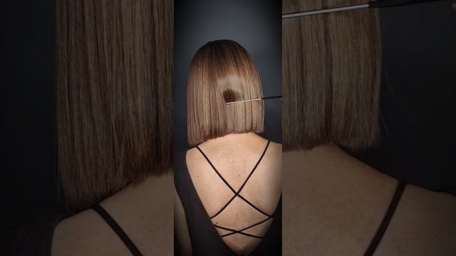 petal_20241022_165529.mp4