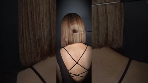 petal_20241022_165529.mp4