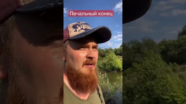 Случилась трагедия