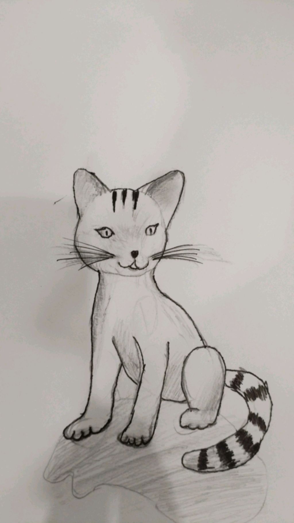 я нарисовала рисунок это котя