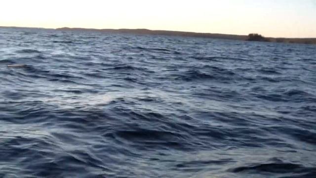 Проект Карелия   2016, фильм 3 или новые приключения Итальянца в России.