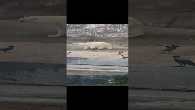 1000019411.mp4