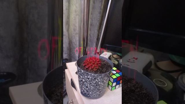 твтвивьвтвтвтвт