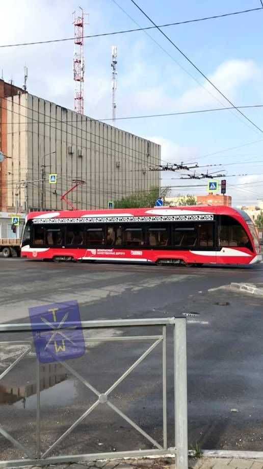 Львёнок в Туле