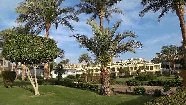 Grand Oasis Resort 4 Египет Шарм эль Шейх