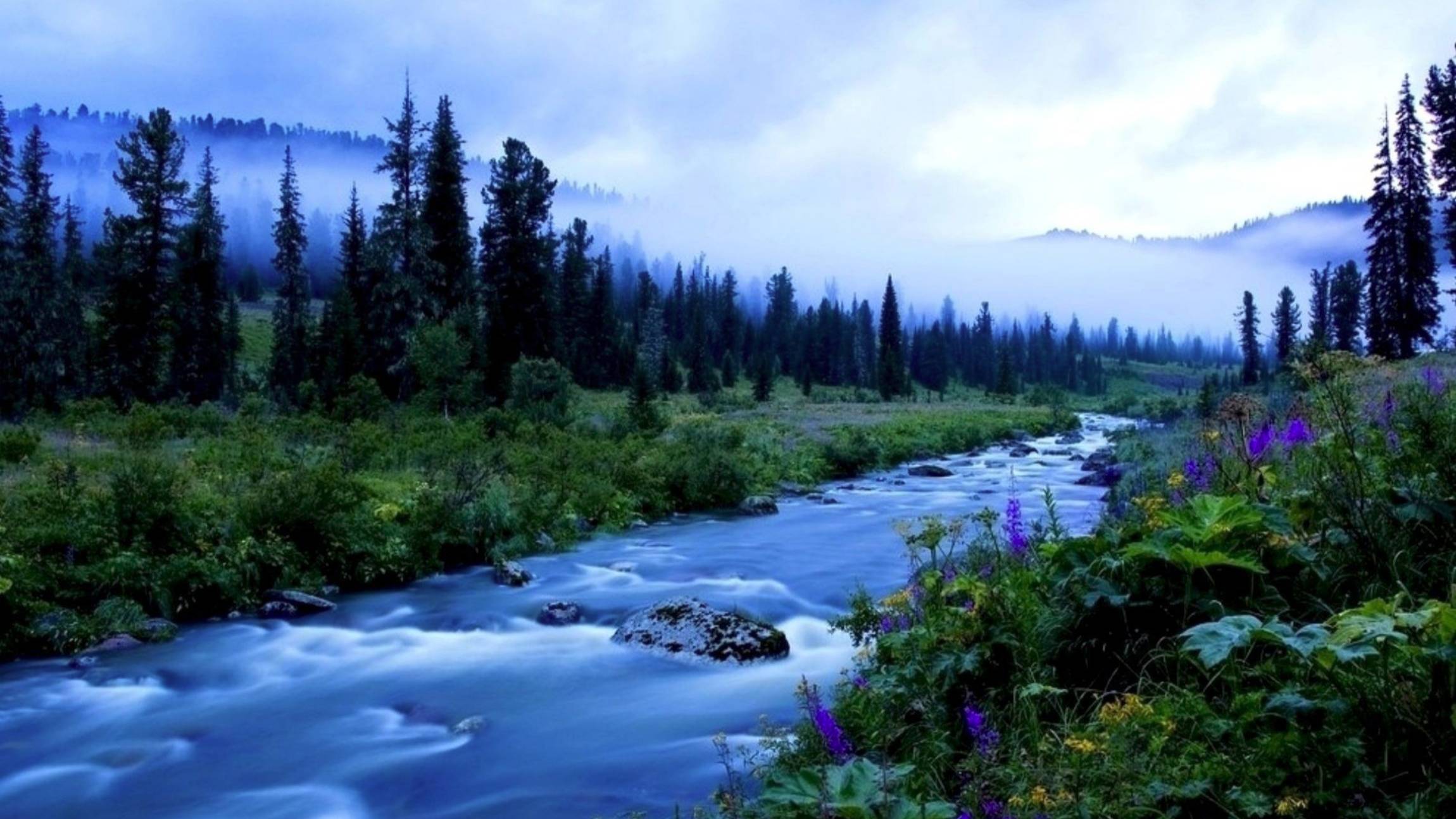 Голубая тайга (Кавер-версия) Советские песни
