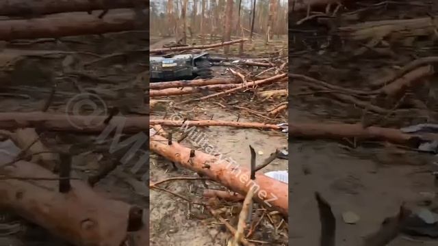 Лес под Кременной и танк ВСУ, точнее то, что от него осталось...