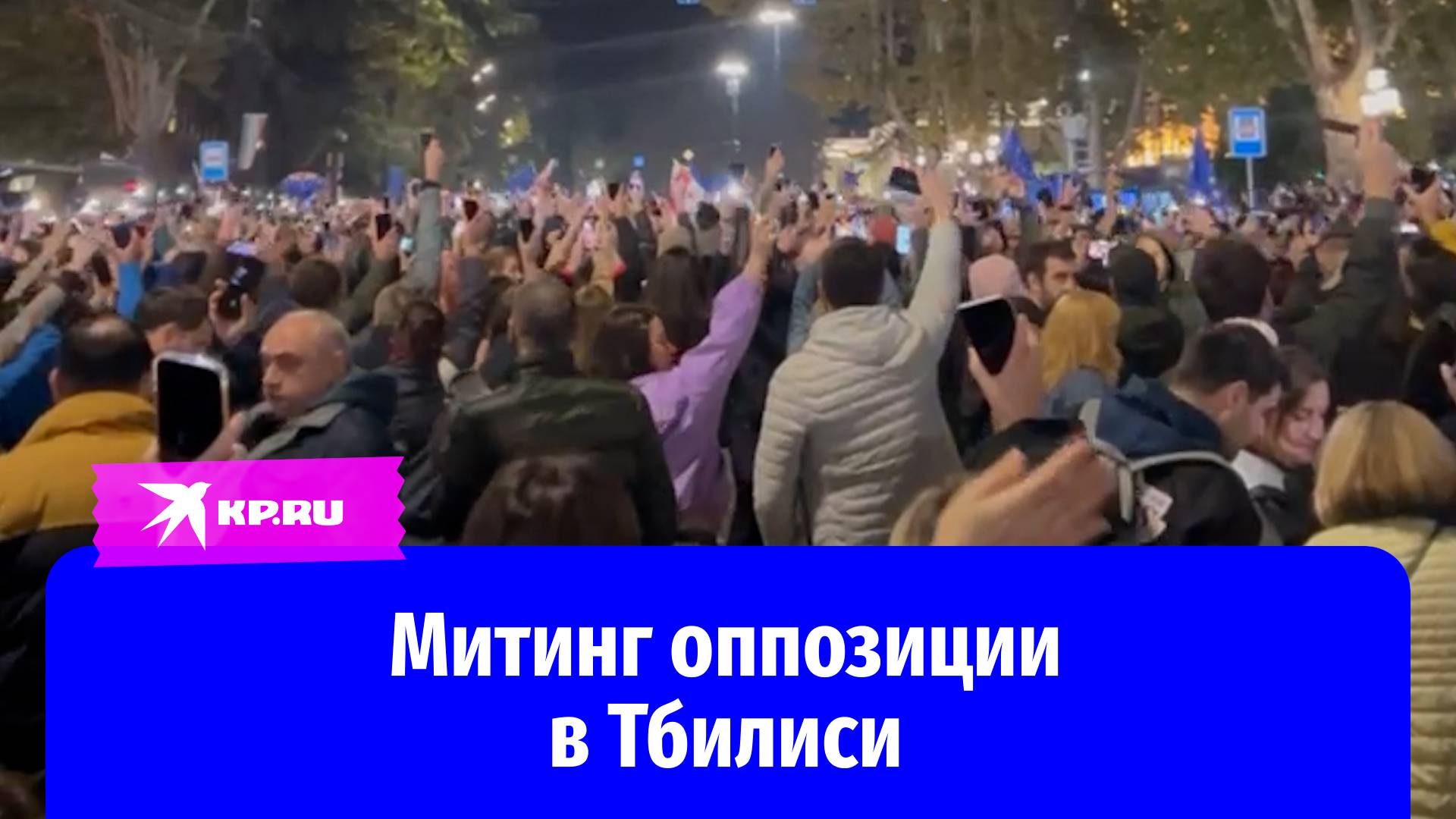 Массовые протесты в Тбилиси: более 20 тысяч человек вышли на улицы города