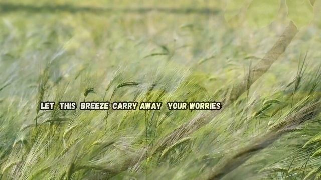 Nature's Message To You (ASMR)