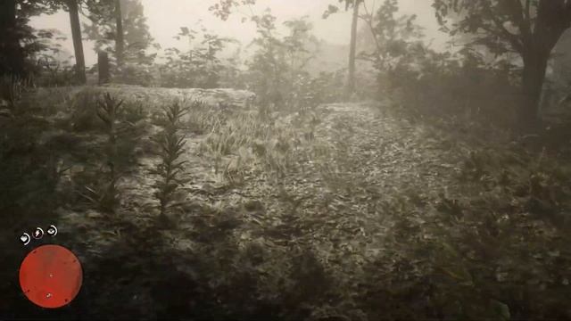Устроили небольшой митинг в RDR 2!