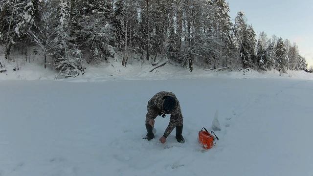 Оставил поставушки на ночь