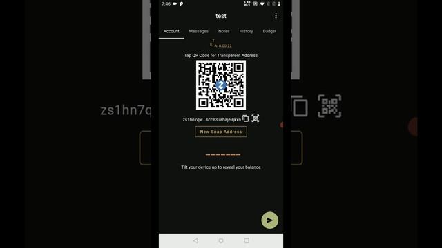 Stress Test: Ywallet with a large wallet