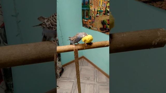 Пака мы ждём ответа рекомендую посмотреть