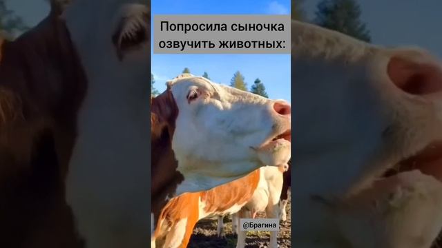 Попросила сыночка озвучить животных