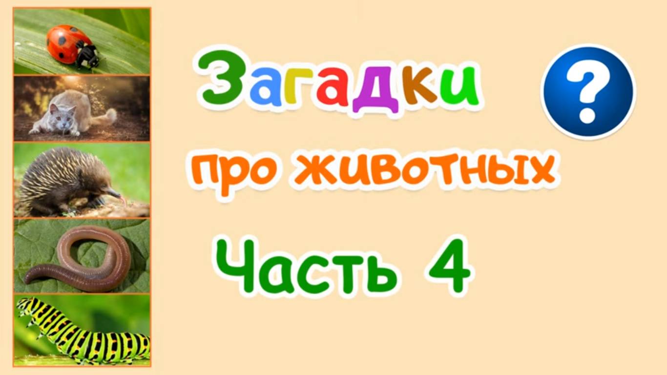 ЗАГАДКИ ПРО ЖИВОТНЫХ - Часть 4 | Загадки для детей