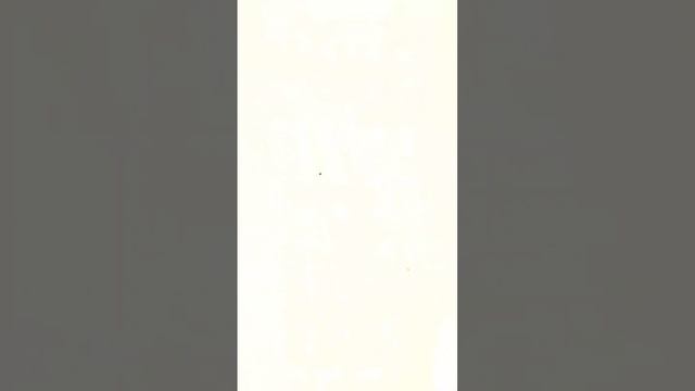 2_5469895714815367220.mp4