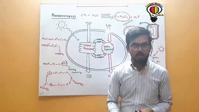 Bioenergetics | Photosynthesis in Plants | Part I | Biology | By Dr. Habib | In Urdu and Hindi