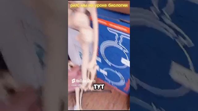 pov: мы на уроке биологии 🤣