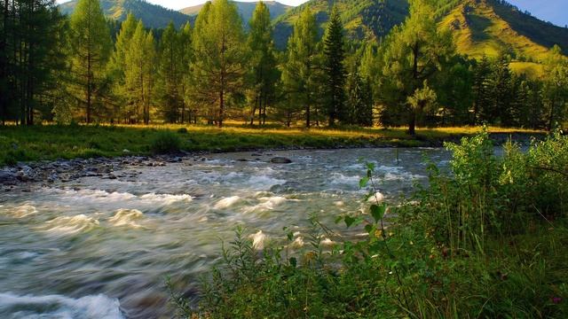 «Родина – Сибирь». Дуэт Сергей Панов, Екатерина Куликова