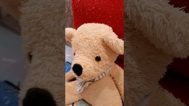 игрушка в школе 5 серия урок английский язык