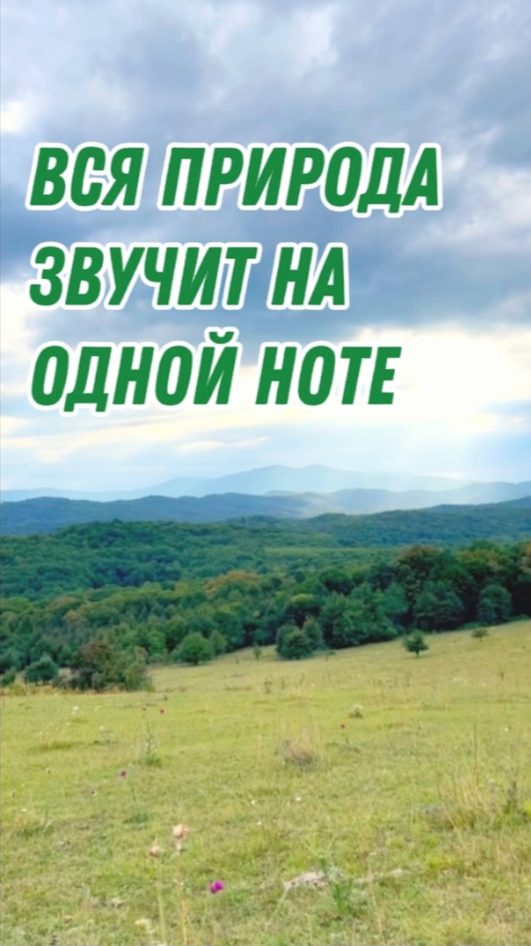 На какой ноте звучит природа