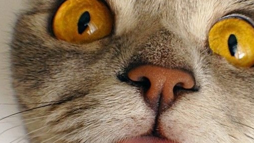 играю в все мои игры