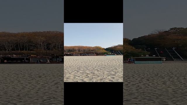 VID20241027122933.mp4