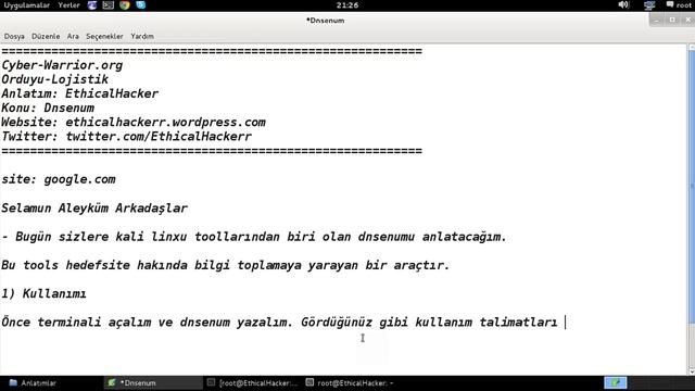 Kali Linux - Dnsenum