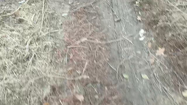 Ловля щуки в октябре(мои надежды...)